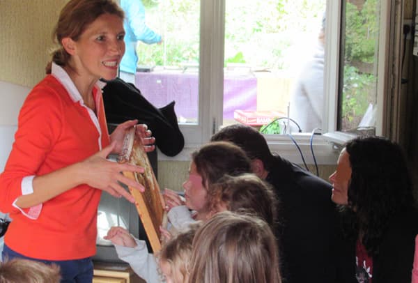 Atelier pédagogique 'Découverte de la vie des abeilles dans une ruche' pour tous âges