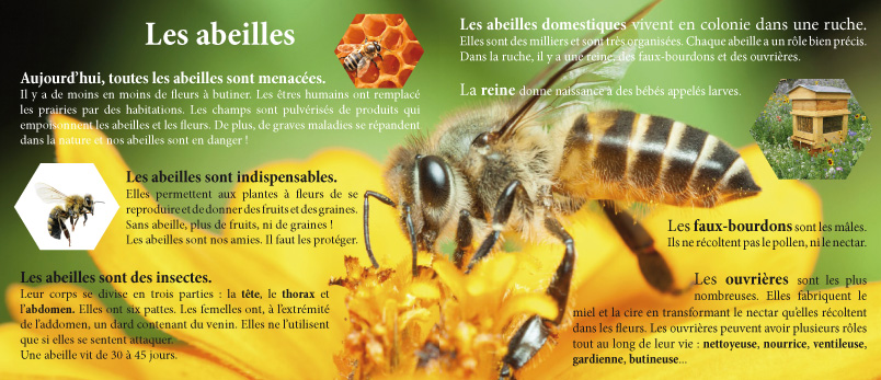 Livre musical du spectacle Mielline l’abeille avec chansons pour enfants