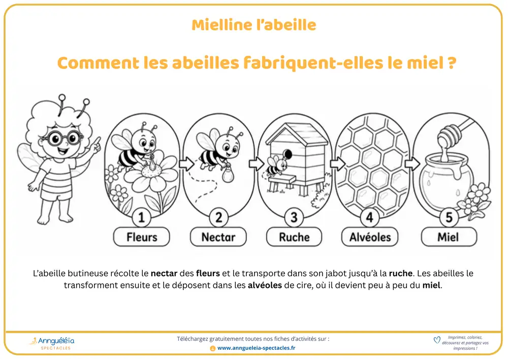 Aperçu de la fiche découverte Comment les abeilles fabriquent le miel ?