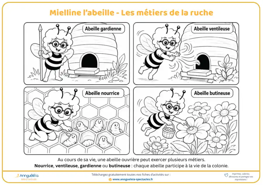 Aperçu de la fiche découverte Les métiers des abeilles dans la ruche