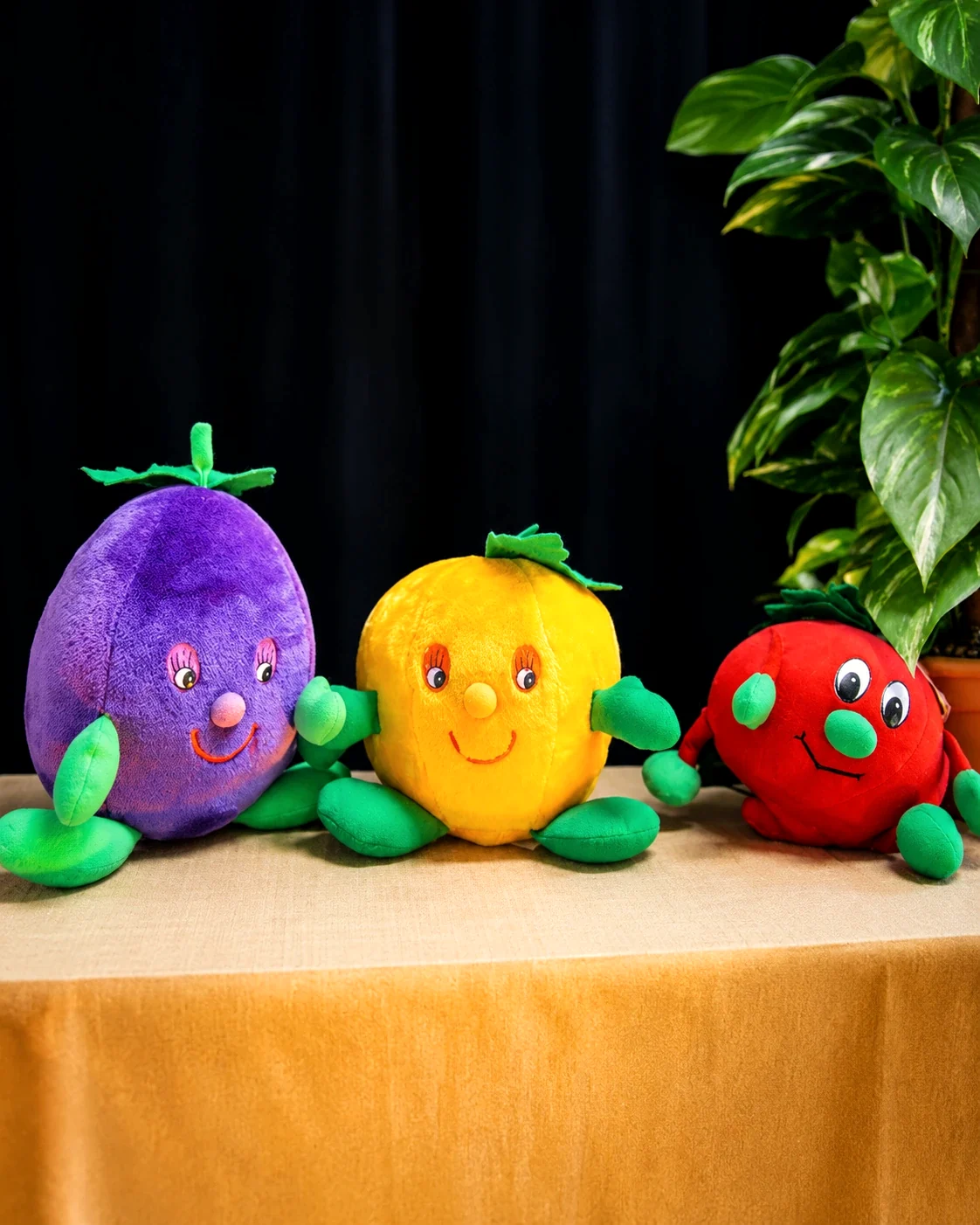 Dame Vitamine et les trésors du potager – photo du spectacle